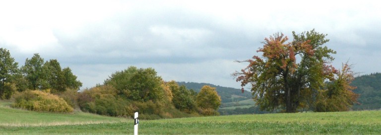 Passend zum Herbst ein Bild Richtung Creez, Rosengarten und Trockauer Berg. Der Baum ist leider ein Schatten seines früheren selbst, seine ehemals herrliche Krone wurde von Menschenhand verschandelt. Passend zum Herbst ein Bild Richtung Creez, Rosengarten und Trockauer Berg. Der Baum ist leider ein Schatten seines früheren selbst, seine ehemals herrliche Krone wurde von Menschenhand verschandelt.