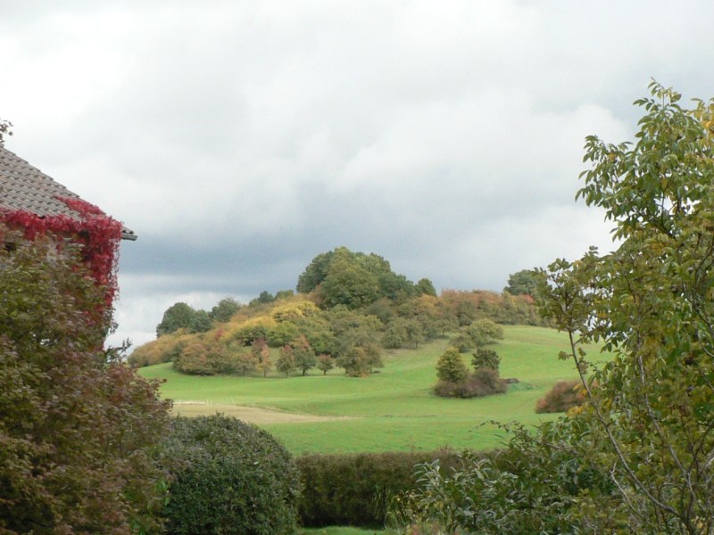 vom Vorgarten zum Deutes vom Vorgarten zum Deutes