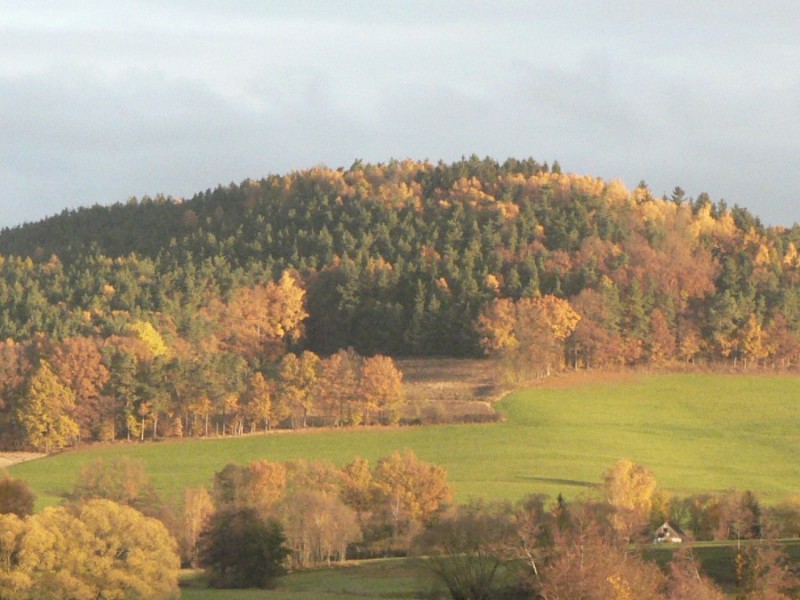 Blick vom Badezimmer auf den Schobertsberg im Herbstgewand Blick vom Badezimmer auf den Schobertsberg im Herbstgewand