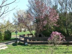 Blick zur Strae und auf Tiergehege
