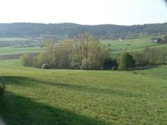 Das ist der Blick von der Strae (Creez - Gubitzmoos) aus in Richtung Sden (Brenreuth)