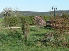 Bsche und im Hintergrund sind die Laterne und das Tiergehege zu sehen