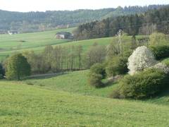 Nun wieder ein Stckchen weiter bei uns.