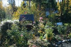 Noch ein Detail des Gartens.