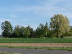 Hinter diesen Bumen steht eines unsere Nachbarhuser, dieses ist aber nur ein Wochenendhaus.