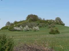 Blick von unserer Einfahrt aus auf den Deutes.