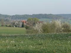 Unsere Obstbaumreihe, im Hintergrund kann man Moosing sehen.