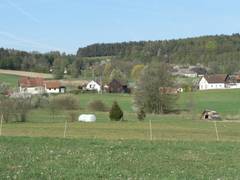 Blick auf ein paar Huser von Gubitzmoos, im Hintergrund sind auch ein paar Huser von Voitsreuth zu sehen.