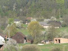 Dieses Bild ergibt sich wenn man von unserem Eselstall in Richtung Westen schaut.