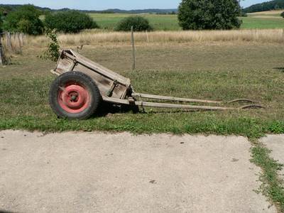 Allguer Mistwgele von der Seite