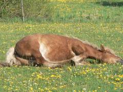 Bastille legt sich jetzt genlich auf die Seite.