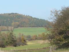 Blick ber mehrere unserer Wiesen zum Schobertsberg