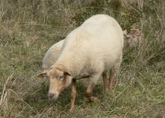 Ich ducke mich lieber mal.