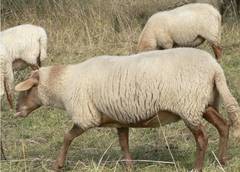 Hmmm... schmeckt das lecker, jetzt muss aber trotzdem ein Tapetenwechsel sein.