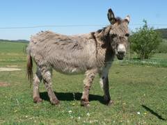 So sieht es doch schon viel besser aus, oder?