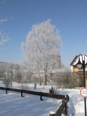 Blick auf den verschneiten Garten
