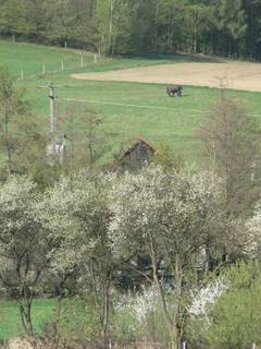Blick in Richtung Voitsreuth