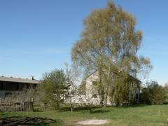 Die Westseite ist hinter unseren Birken verborgen.  Sie ist durch einen Witterungsschutz und zum Teil durch Efeu geschtzt.