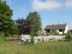 Aufnahme im Frhjahr vom Anfang der Einfahrt aus