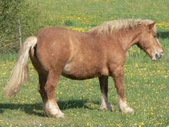 Nachdem sie aufgestanden ist, schttelt sie sich erst einmal krftig.