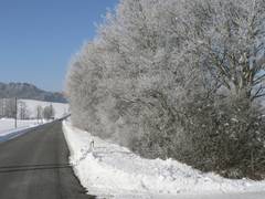 freie Strae nach Voitsreuth