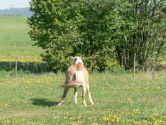 Diese Bild sieht dem vorherigen sehr hnlich aus, aber das ist keineswegs der Fall.