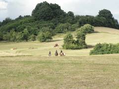 Ausritt in Richtung Deutes