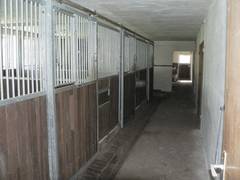 3 Boxen im mittleren Teil des Stalles.