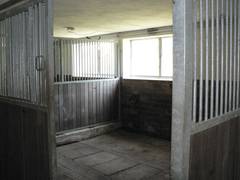 Sie sind so gro, da in jeder von ihnen gefohlt oder eine Mutter mit ihrem Fohlen stehen knnten.