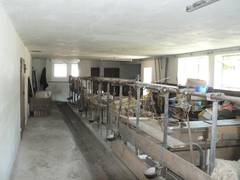 In diesem Teil des Stalles knnten man noch einige weitere Boxen unterbringen.  Wir nutzten diesen Platz fr Schafe mit Lmmern (rechts), sowie als Stellraum.   In dem getrennten Raum am Ende hiehlten wir Schweine, in den Klberboxen brhteten unsere Glucken.