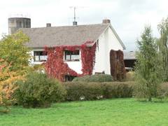 und zum Schlu noch ein Herbstbild ...