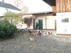 Der Wirtschaftstrakt von Nordost gesehen