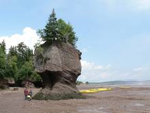 Die Kayaks die man im Hintergrund leigen sieht sind vor kurzem von einer Fahrt um die Hopewell Rocks zurckgekommen, jetzt liegen sie auf trockenem  Land
