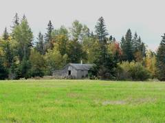 So stellen sich sicherlich viele Menschen Kanada vor - schn aber einsam, alt und arm, eine Western-Provinz