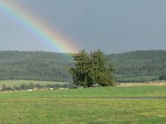 Bei solchem Wetter ist die Gegend um Gubitzmoos immer besonders schn.