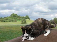 Roswitha nimmt ihren kleinen Sohn ganz vorsichtig, ohne die Krallen auszufahren, in die Arme.