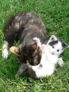 Nein, nicht schon wieder waschen!