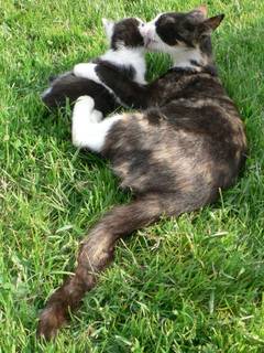 Roswitha mit Strolch