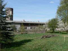 Ein Teil der Stallwand von der zweiten Hofeinfahrt gesehen. Gut zu erkennen die Länge des Gebäudes und die vielen Fenster, die einen hellen Stall mit einem guten Klima ergeben.