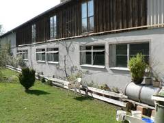 Noch einmal dieselbe Stallfront. Hier wachsen übrigens auch die schönsten Tomaten und auch Wein, da der Stall nach Süden ausgerichtet ist. Dadurch friert er im Winter auch weniger schnell ein und im Sommer sind die Tiere eh draußen und da wird dann gut gelüftet.