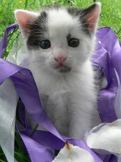 Welches Herz wrde bei diesem Blick nicht weich werden?