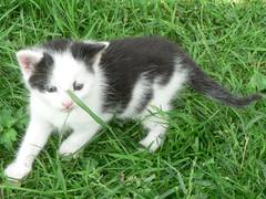 Roswitha und Strolch vorm Deutes