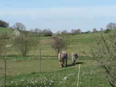 Balthasar und Conchita haben auch einen richtig schnen Ausblick.