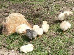 Da fehlen aber schon ganz schn viele.