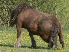 Nun hat sie es aber doch geschafft.