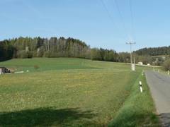 Strae von Gubitzmoos nach Voitsreuth, links unsere Wiese
