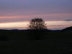 Es ist doch wunderbar wie viele verschiedene Farben auf einem so kleinen Bild sein knnen.