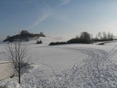 So viele Spuren kann es nur in einer Winterlandschaft geben; im Hintergrund der Deutes